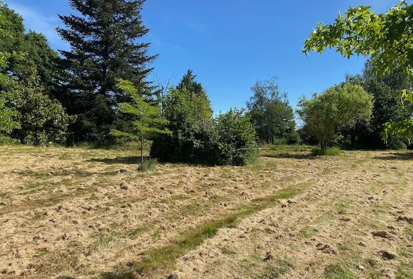  Vente Terrain à bâtir - 4 917m² à Bourg-le-Comte (71110) 