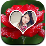 Rose Frame Apk