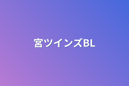 宮ツインズBL