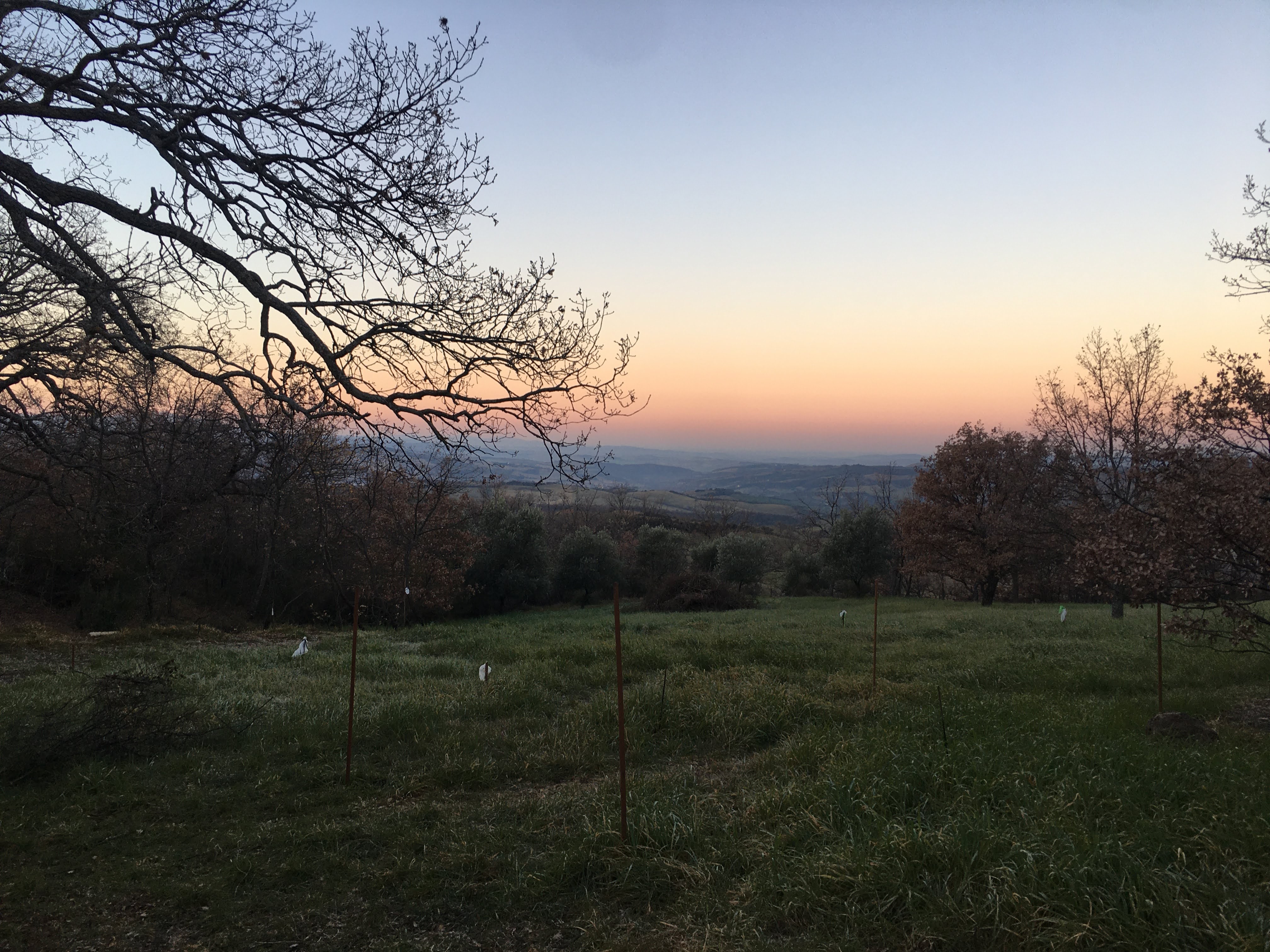 The unspoilt landscape of the Tuscan Maremma, a more than ideal place for a swimming pool