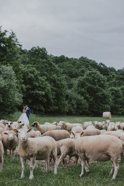 Svatební fotograf Péter Kiss (peterartphoto). Fotografie z 17.června 2021