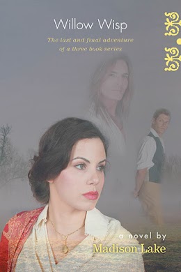 Willow Wisp cover