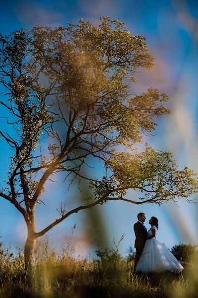 Fotógrafo de casamento Haitonic Liana (haitonic). Foto de 3 de outubro 2017