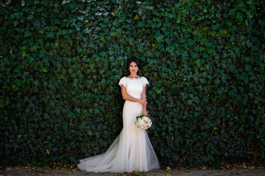 Fotógrafo de casamento Andrey Cheban (andreycheban). Foto de 25 de maio 2017