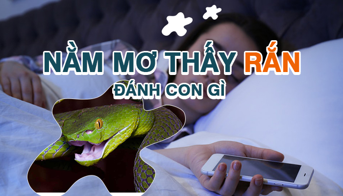 Chiêm bao thấy rắn cắn