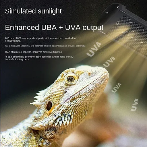 UVA+UVB Reptile Full Spectrum LED Light Turtle Lizard Snake Terrarium Sunbathe Heat Lamp 10.0 20.0 Sun Lamp Sunbathe Hea