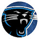 Carolina Panthers NFL HD New Tabs Theme