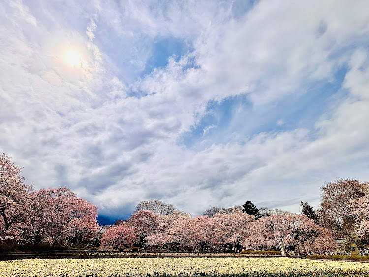 の投稿画像3枚目