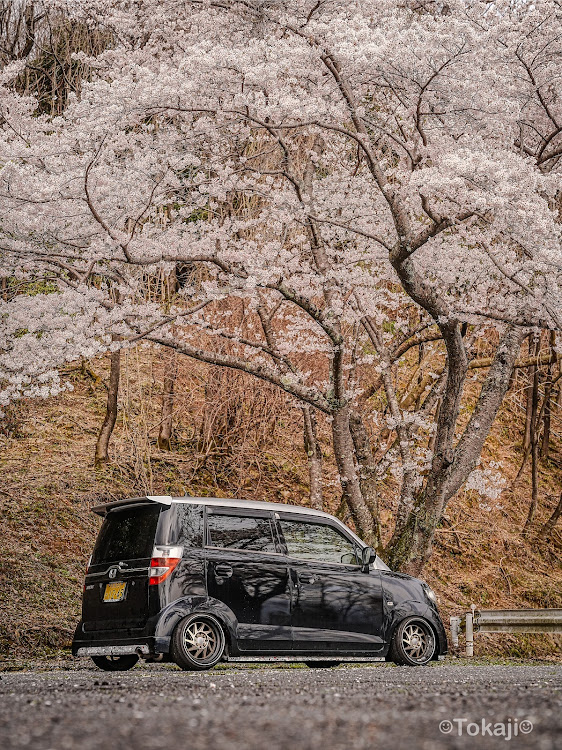 ゼストの4月もよろしくお願い致します🌸・桜とコラボ・春ですね・フリpapa杯参加しま〜すに関するカスタム事例の投稿画像2枚目