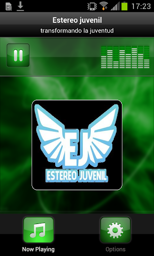 Estereo Juvenil 91.3 Fm