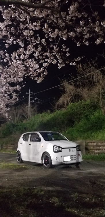 アルトの36アルト・さくら🌸に関するカスタム事例の投稿画像3枚目