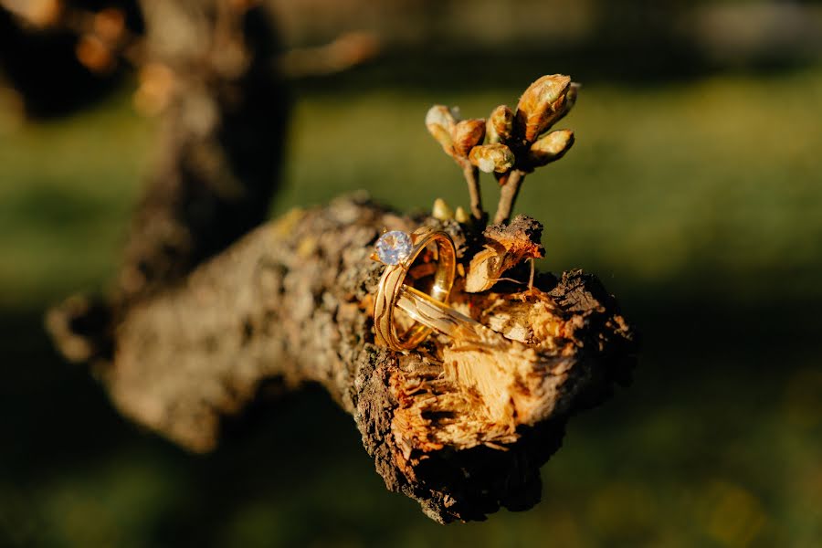 Svadobný fotograf Rita Nagy (gnagyrita). Fotografia publikovaná 3. apríla