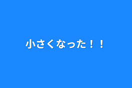 小さくなった！！