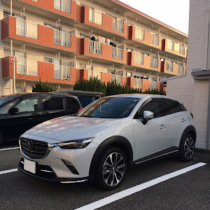 CX-3 DKEFW