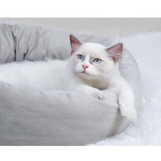Soft Dog Bed Plush Cat Mat Dog Beds Pet Kennel House Cushion Sleeping Bag Mat for Large Dogs Round Dog Kennel