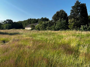 terrain à Saint marcel (71)