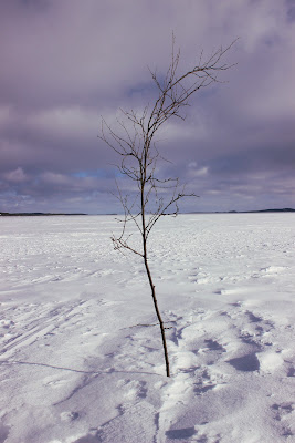 Inari di Erin Photography