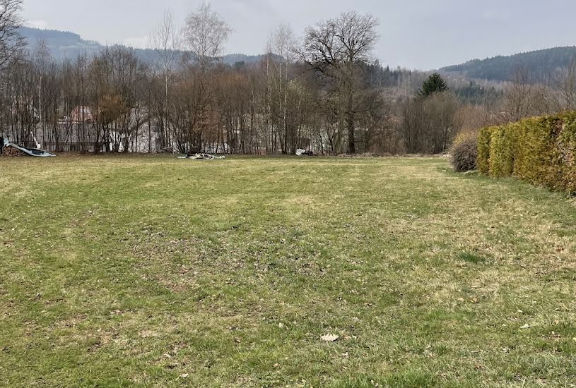  Vente Terrain à bâtir - 2 500m² à Ban-de-Laveline (88520) 