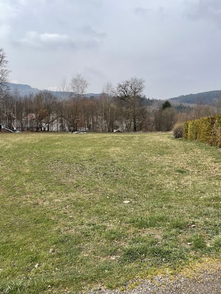 Vente terrain  2500 m² à Ban-de-Laveline (88520), 82 000 €