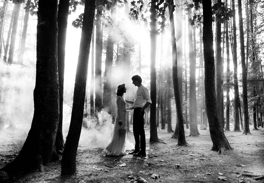 Fotógrafo de bodas Denis Aliferenko (alifer). Foto del 9 de marzo 2016