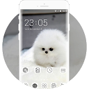 Download cute white hairy puppy pet theme Install Latest APK downloader