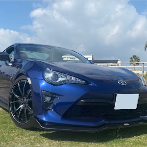 86 ZN6