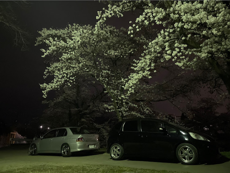 フィットのフィット・4WD・無限MUGEN・ランサーエボリューションVII・桜とコラボに関するカスタム事例の投稿画像3枚目