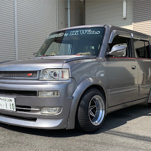 bB NCP31