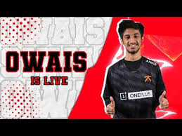 owais