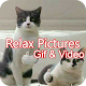 Relax Pictures, Gif And Video Download on Windows