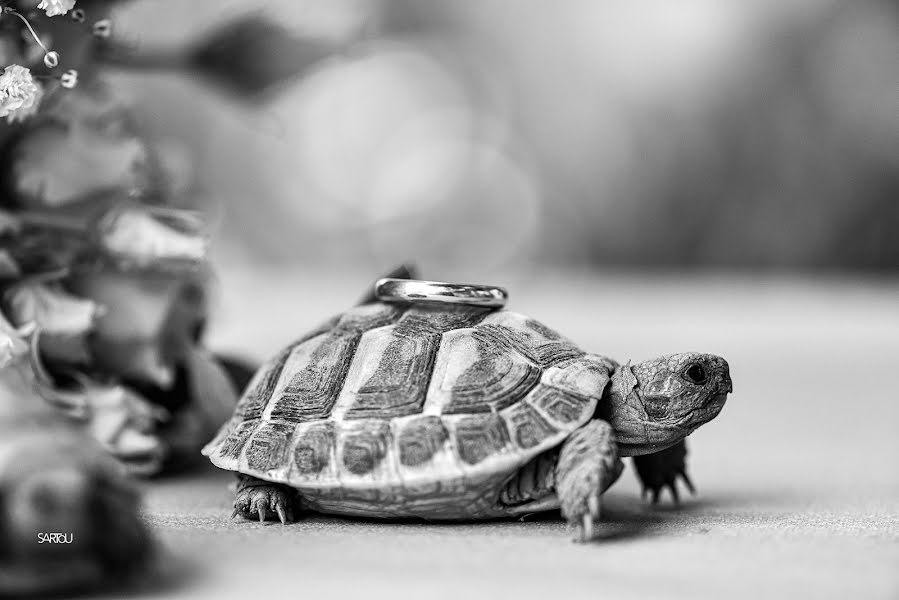 Düğün fotoğrafçısı Arturo Barrón (sartou). 10 Kasım 2021 fotoları