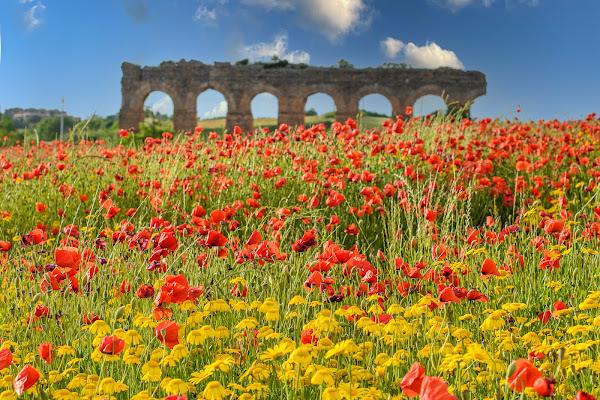 Architetture imperiali fra i fiori di mapi2019