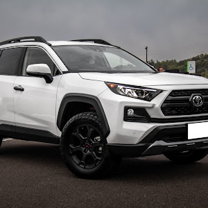 RAV4 MXAA54