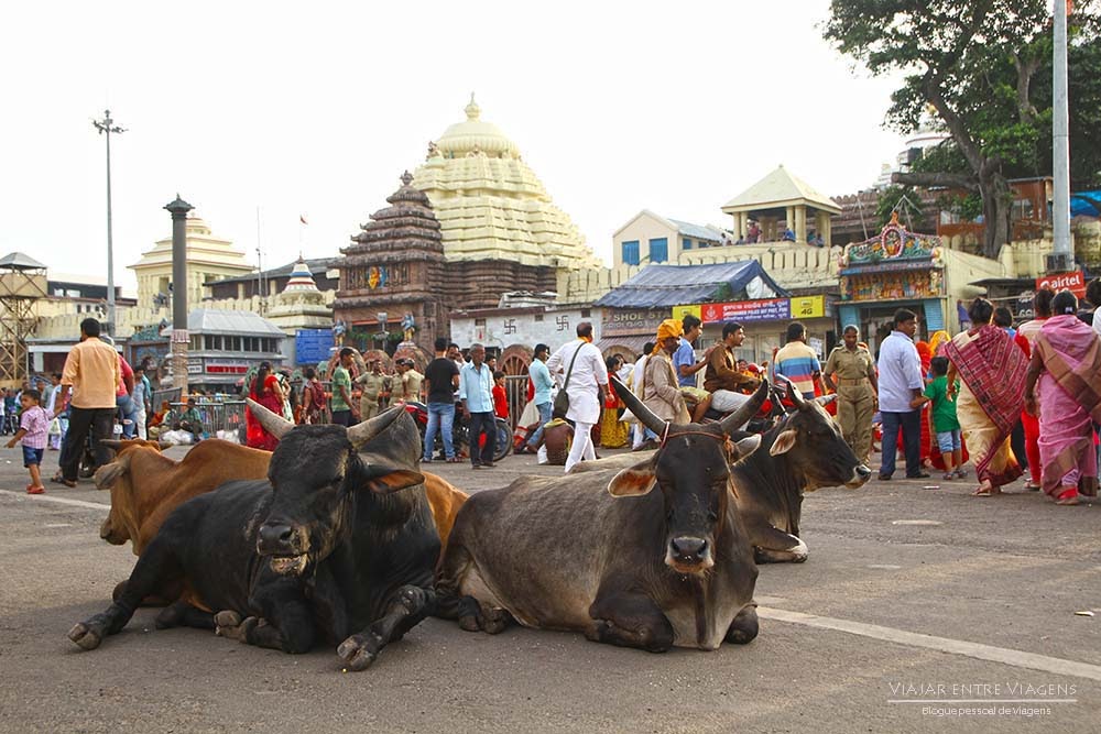 Visitar Puri e testemunhar extraordinário o poder da fé e do hinduísmo | Índia