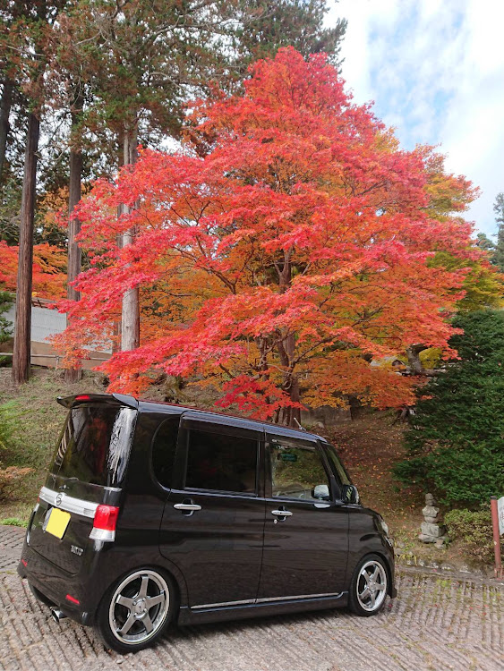 タントカスタムの紅葉・タントカスタム・L375S・SSR・SP4Rに関するカスタム事例の投稿画像1枚目