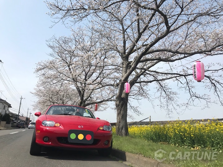 ロードスター Nb を編集部が徹底紹介 スペックから他車比較 カスタム例も Cartuneマガジン