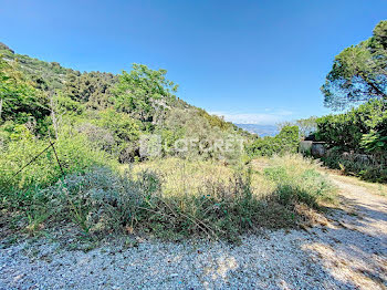 terrain à Roquebrune-Cap-Martin (06)