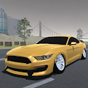 Driving Mustang Car Racing