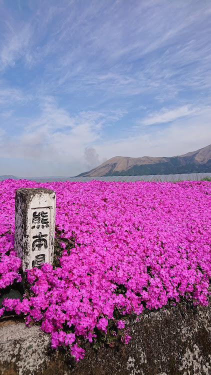 の投稿画像3枚目