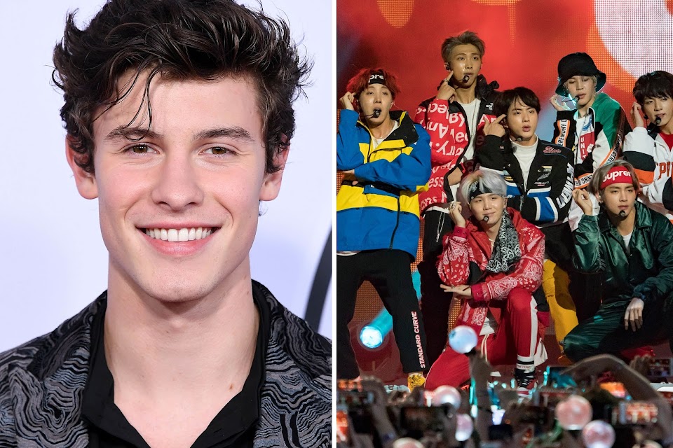 Celebrities Who Have Their Own Dolls: Shawn Mendes, BTS, and More