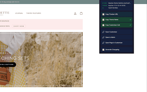 Shopify Dev Tools screenshot 2