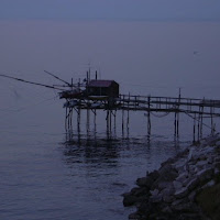 IL TRABUCCO SOLITARIO di 