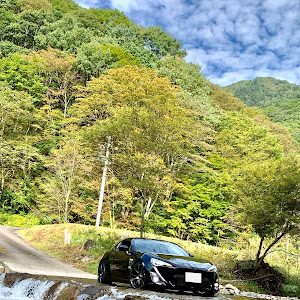 86 ZN6