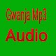 Download Gwanja Mp3 For PC Windows and Mac 2.0