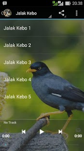 How to mod Master Kicau Jalak lastet apk for pc