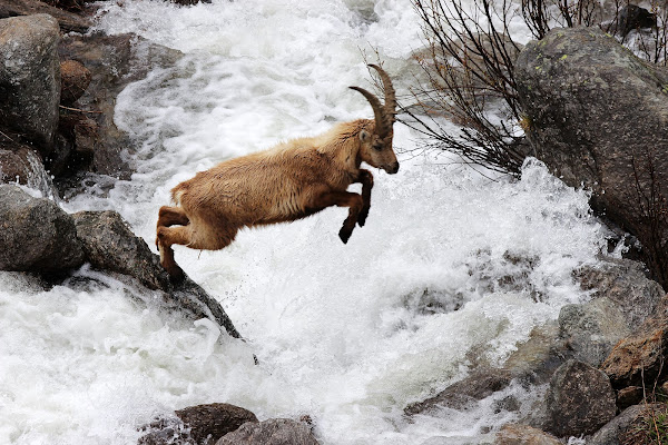 Salto in lungo di Rosaria_Scrofani