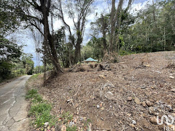 terrain à Les Anses D Arlet (972)