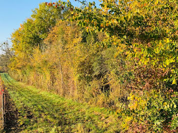 terrain à Grézillac (33)