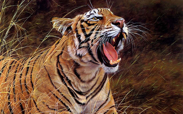 Tiger Wallpaper