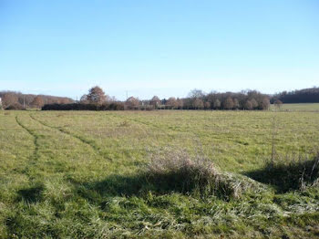 terrain à Saint-Antoine-du-Rocher (37)